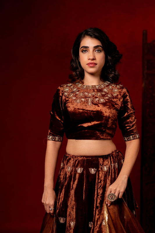 Brown velvet hand embroidered lehenga set