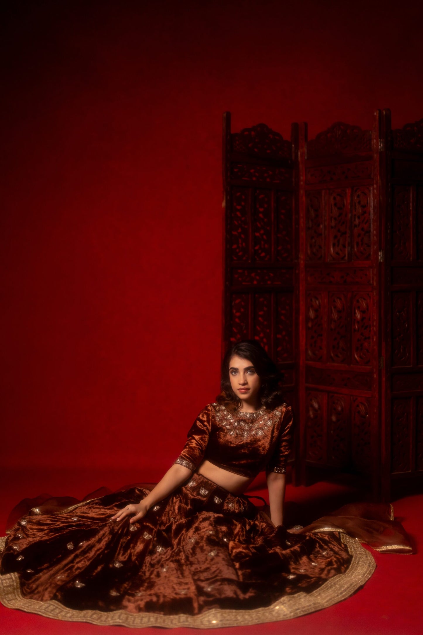 Brown velvet hand embroidered lehenga set