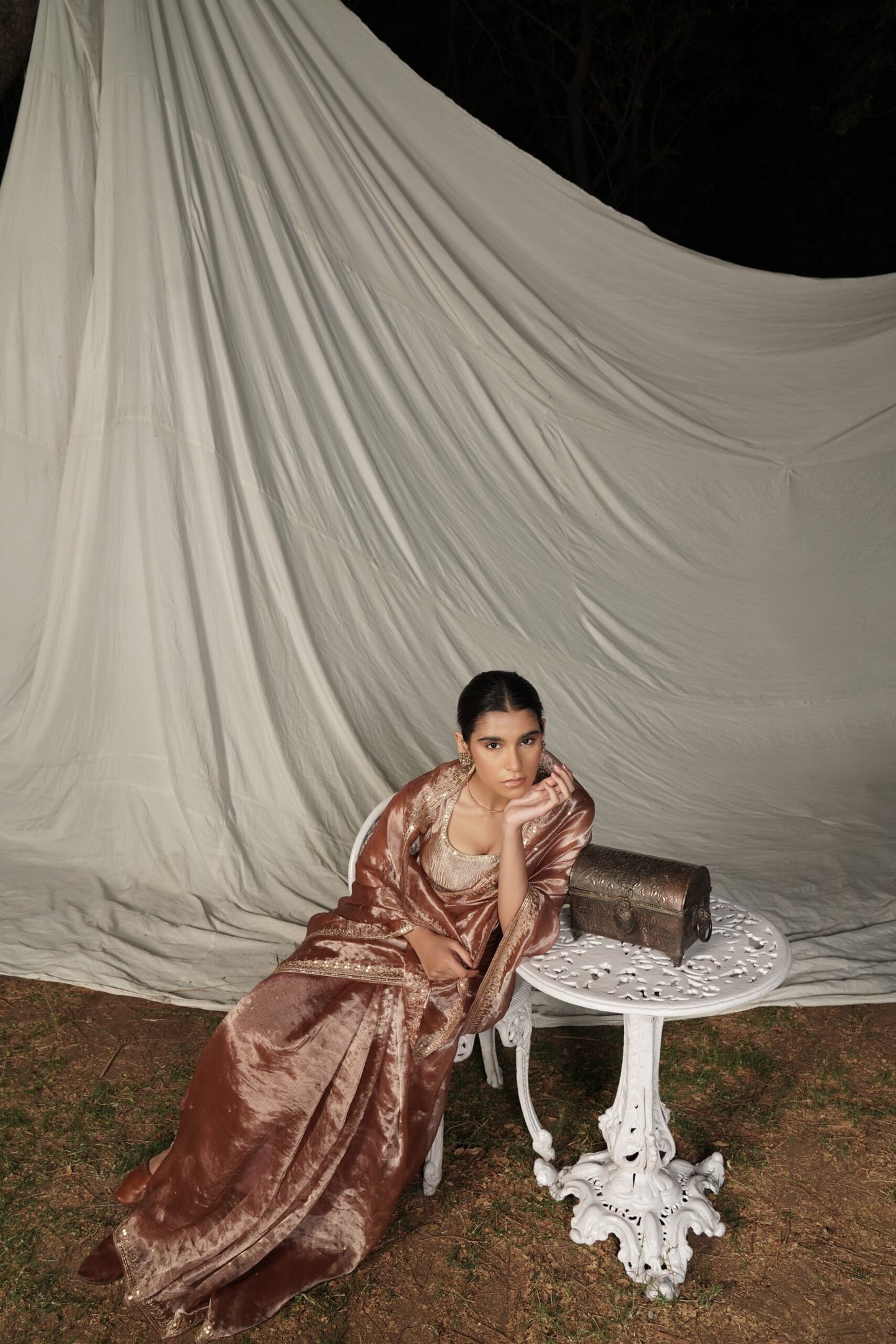 Madhubala Champagne Blush Embroidered Saree with Blouse