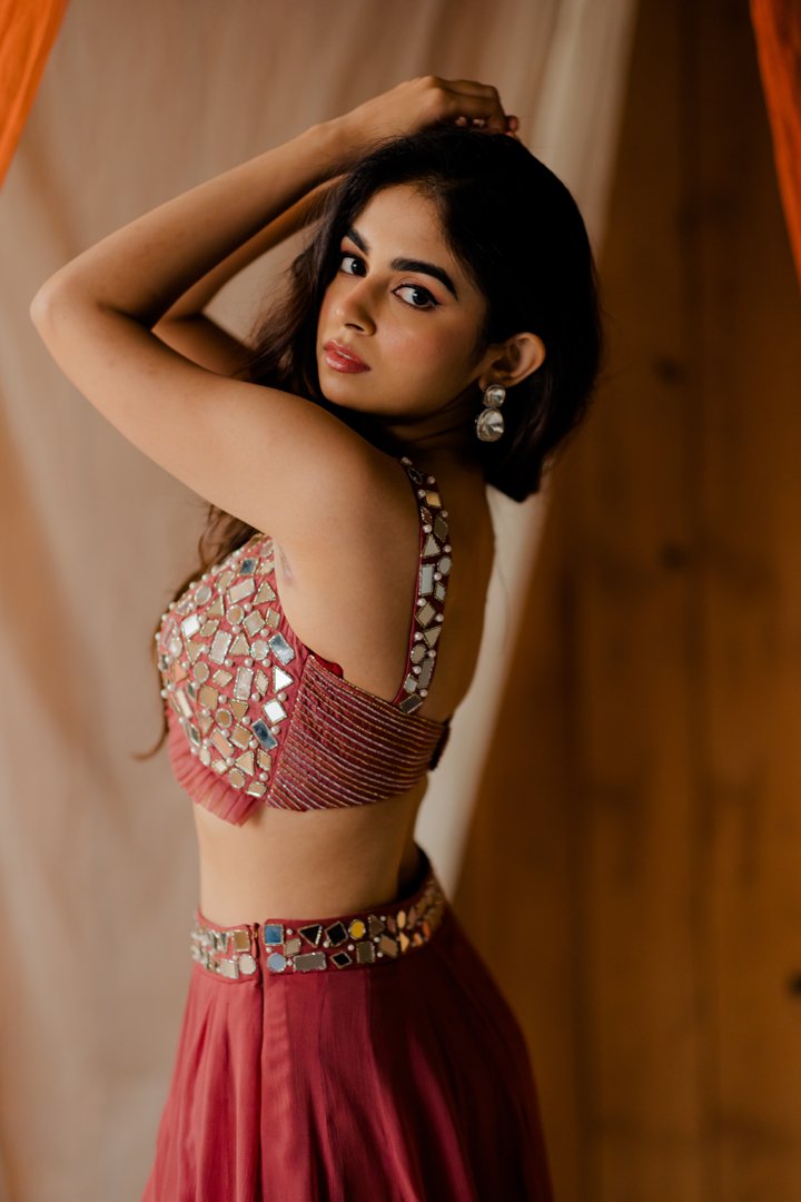 Roza Dusty rose Mirrorwork Lehenga Set