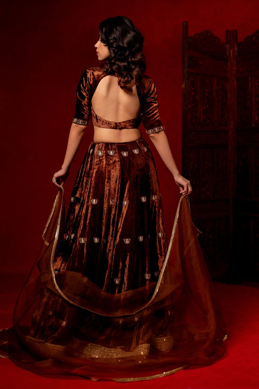 Brown velvet hand embroidered lehenga set