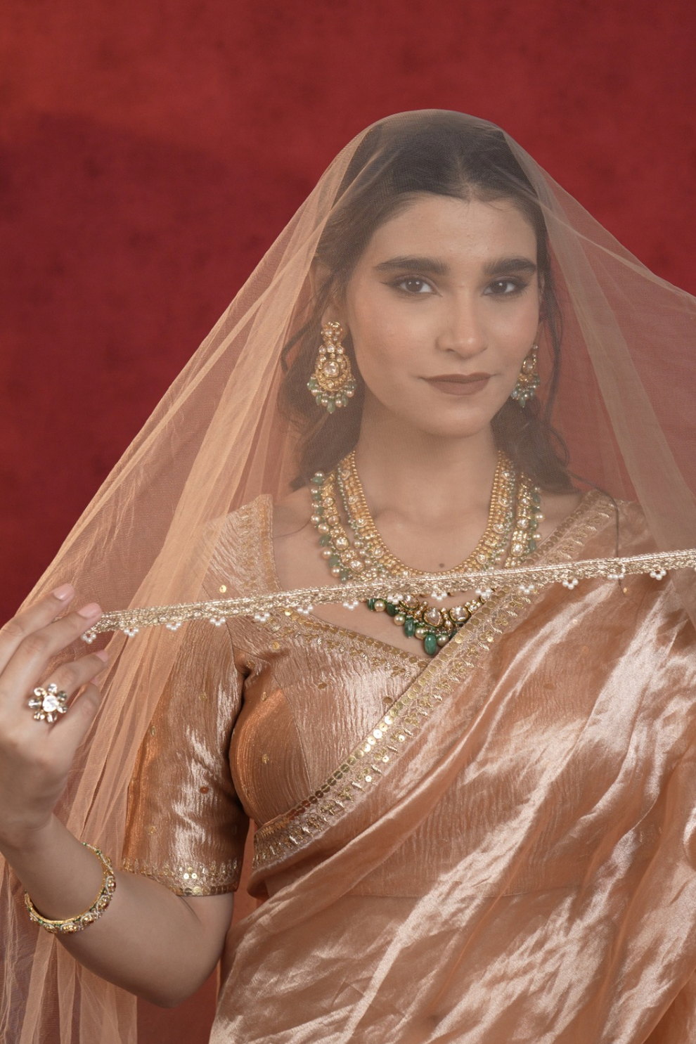Madhubala Champagne Blush Embroidered Saree with Blouse