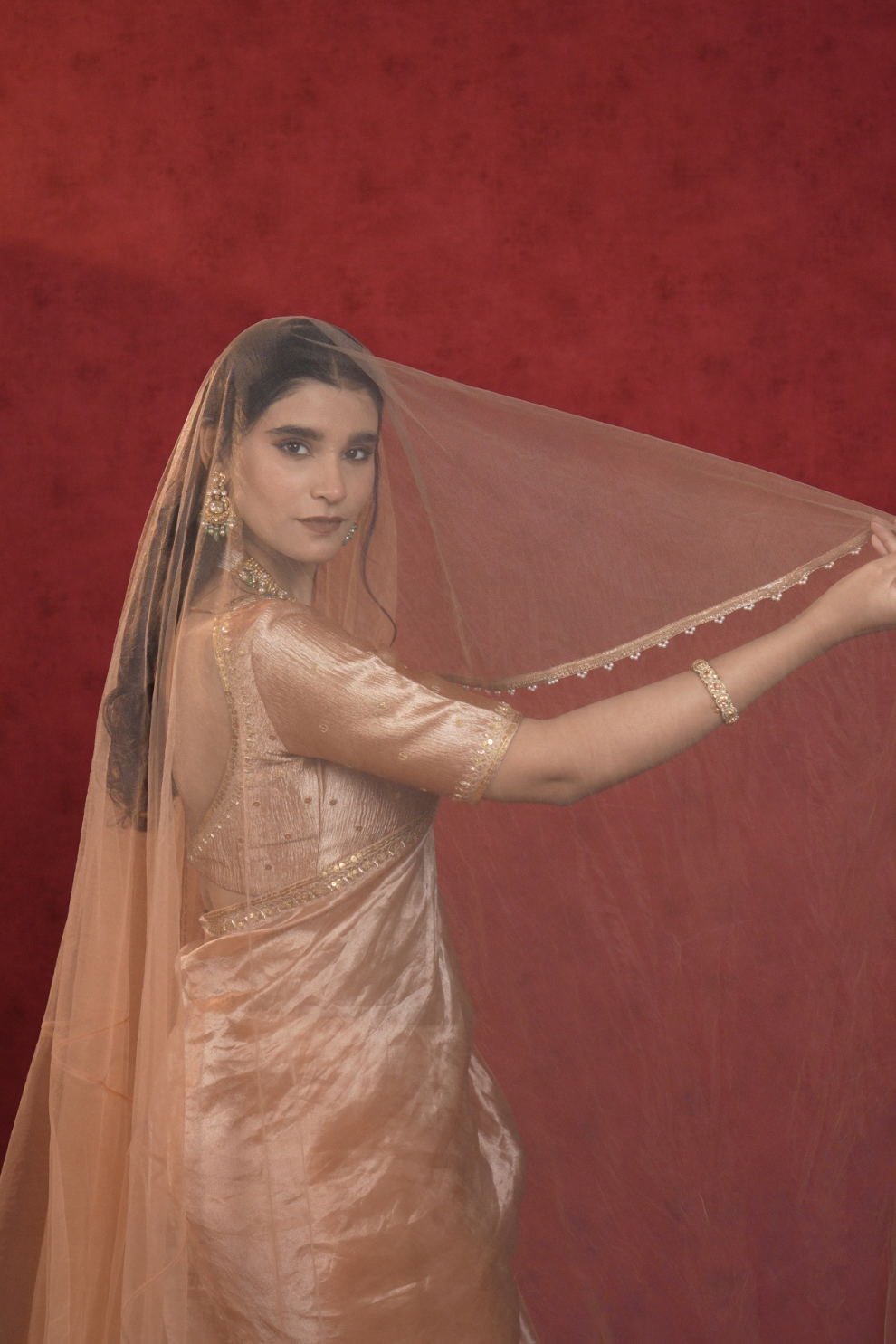 Madhubala Champagne Blush Embroidered Saree with Blouse